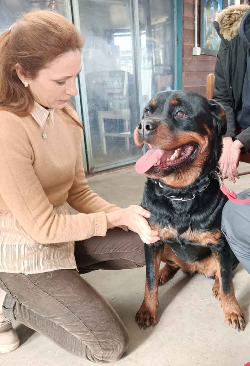 curare osteoartrite cane roma