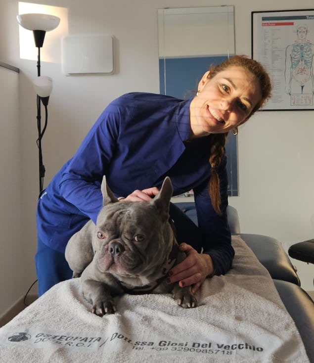 giosi del vecchio osteopata cani a roma