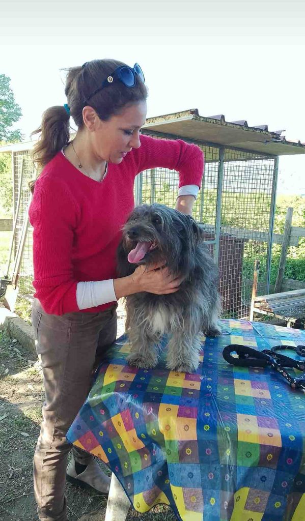 osteopata cani roma giosi del vecchio